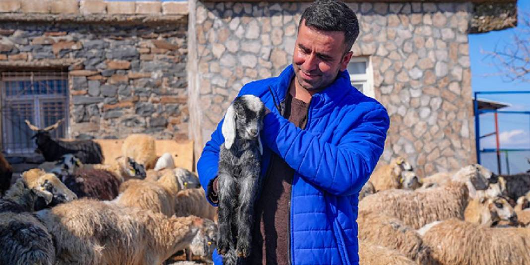 Yağışlar geldi, otlar yeşerdi, su kaynakları doldu: Besiciler yağış sevinci yaşıyor 4